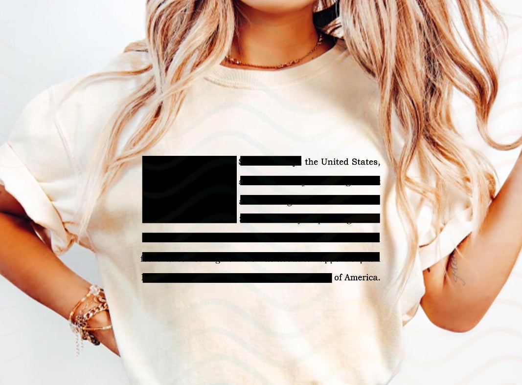 Epstein Redacted Flag