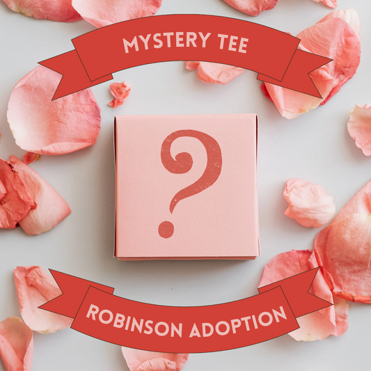 Mystery adoption Tee funding the Robinson's