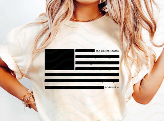 Epstein Redacted Flag